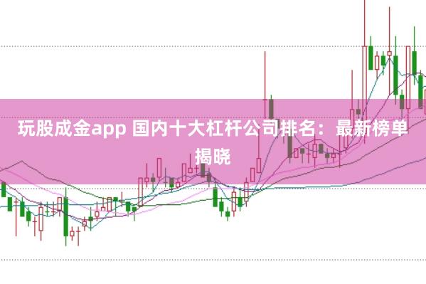 玩股成金app 国内十大杠杆公司排名：最新榜单揭晓