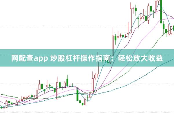 网配查app 炒股杠杆操作指南：轻松放大收益
