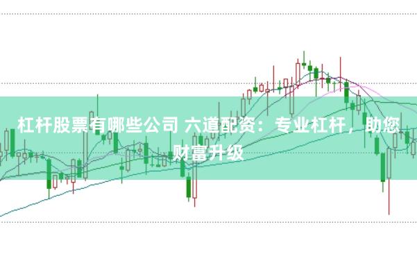 杠杆股票有哪些公司 六道配资：专业杠杆，助您财富升级
