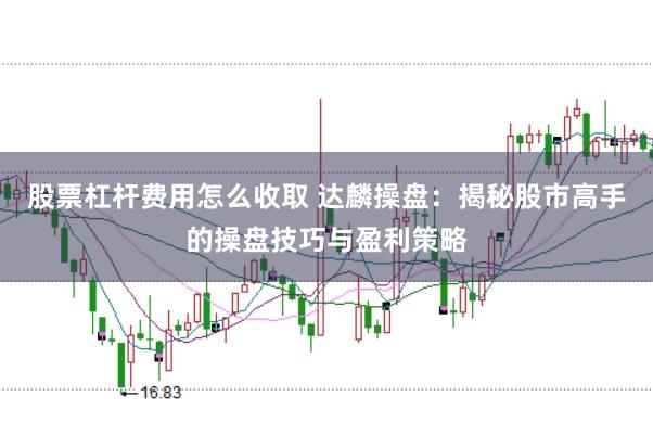 股票杠杆费用怎么收取 达麟操盘：揭秘股市高手的操盘技巧与盈利策略