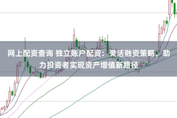 网上配资查询 独立账户配资：灵活融资策略，助力投资者实现资产增值新路径