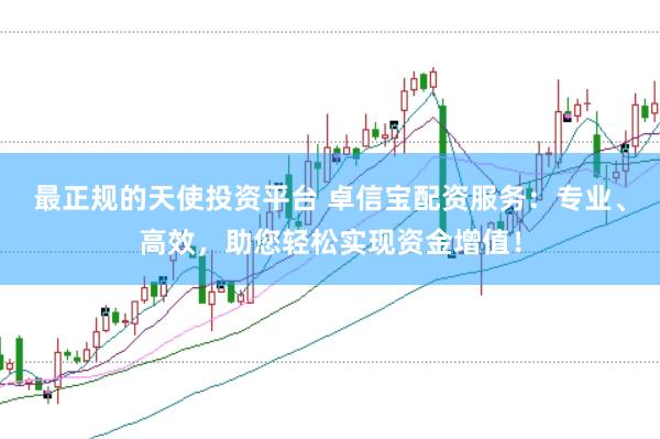 最正规的天使投资平台 卓信宝配资服务：专业、高效，助您轻松实现资金增值！