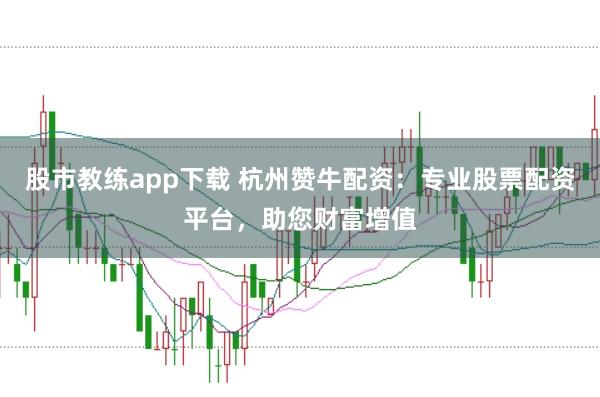 股市教练app下载 杭州赞牛配资：专业股票配资平台，助您财富增值
