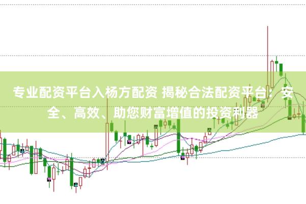 专业配资平台入杨方配资 揭秘合法配资平台：安全、高效、助您财富增值的投资利器