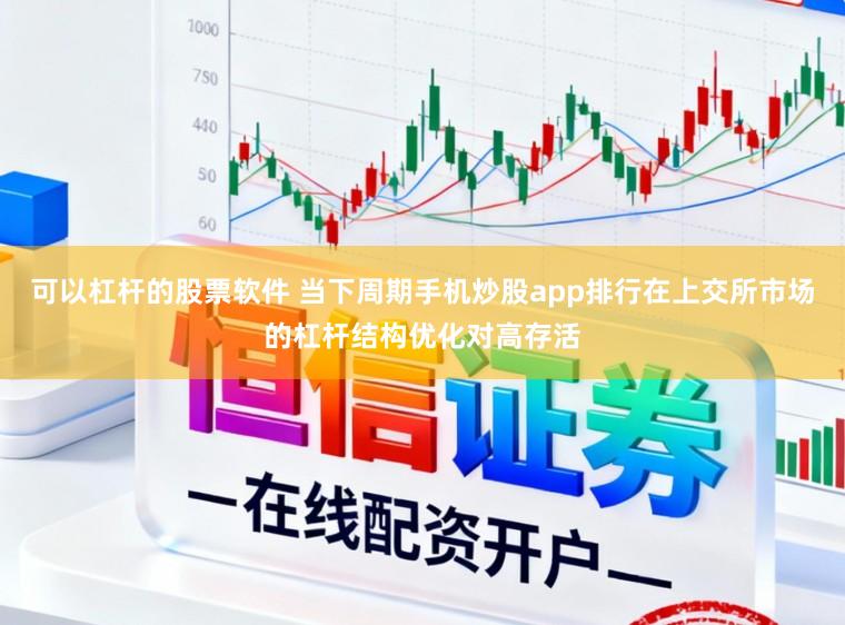 可以杠杆的股票软件 当下周期手机炒股app排行在上交所市场的杠杆结构优化对高存活