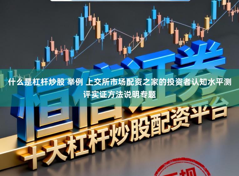 什么是杠杆炒股 举例 上交所市场配资之家的投资者认知水平测评实证方法说明专题