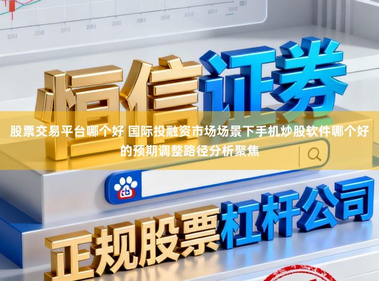 股票交易平台哪个好 国际投融资市场场景下手机炒股软件哪个好的预期调整路径分析聚焦