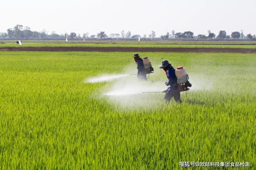 五国联合发布共建 一带一路 农药产品质量标准合作意向声明