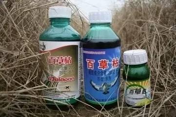 中国农民再也不需要使用农药“百草枯”的10个理由